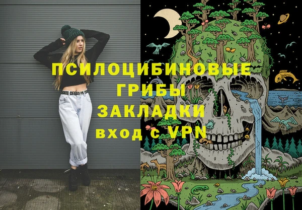 бошки Алексин