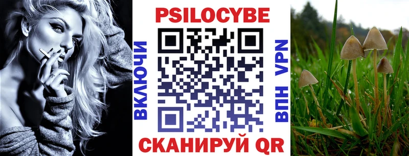 Галлюциногенные грибы Psilocybine cubensis  Апрелевка 