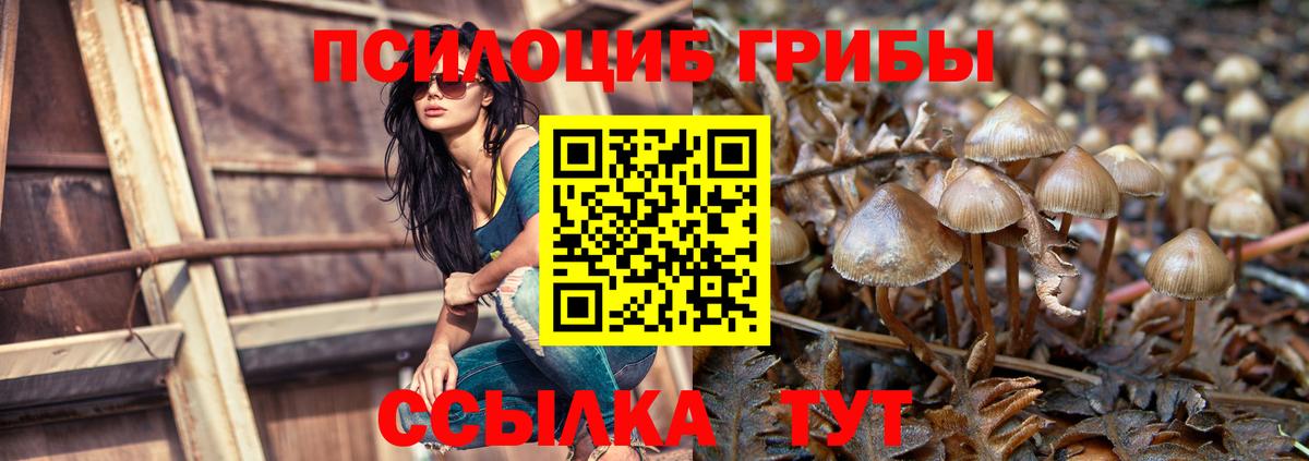 Апрелевка  Галлюциногенные грибы GOLDEN TEACHER  Вход с VPN  Галлюциногенные грибы Cubensis 